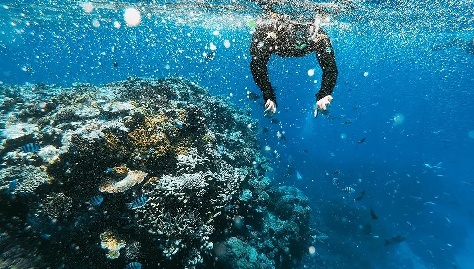 Tour Ngày Lặn Biển Tại Nha Trang