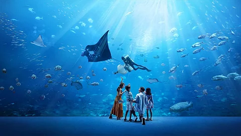 Vé Thủy Cung Singapore Oceanarium