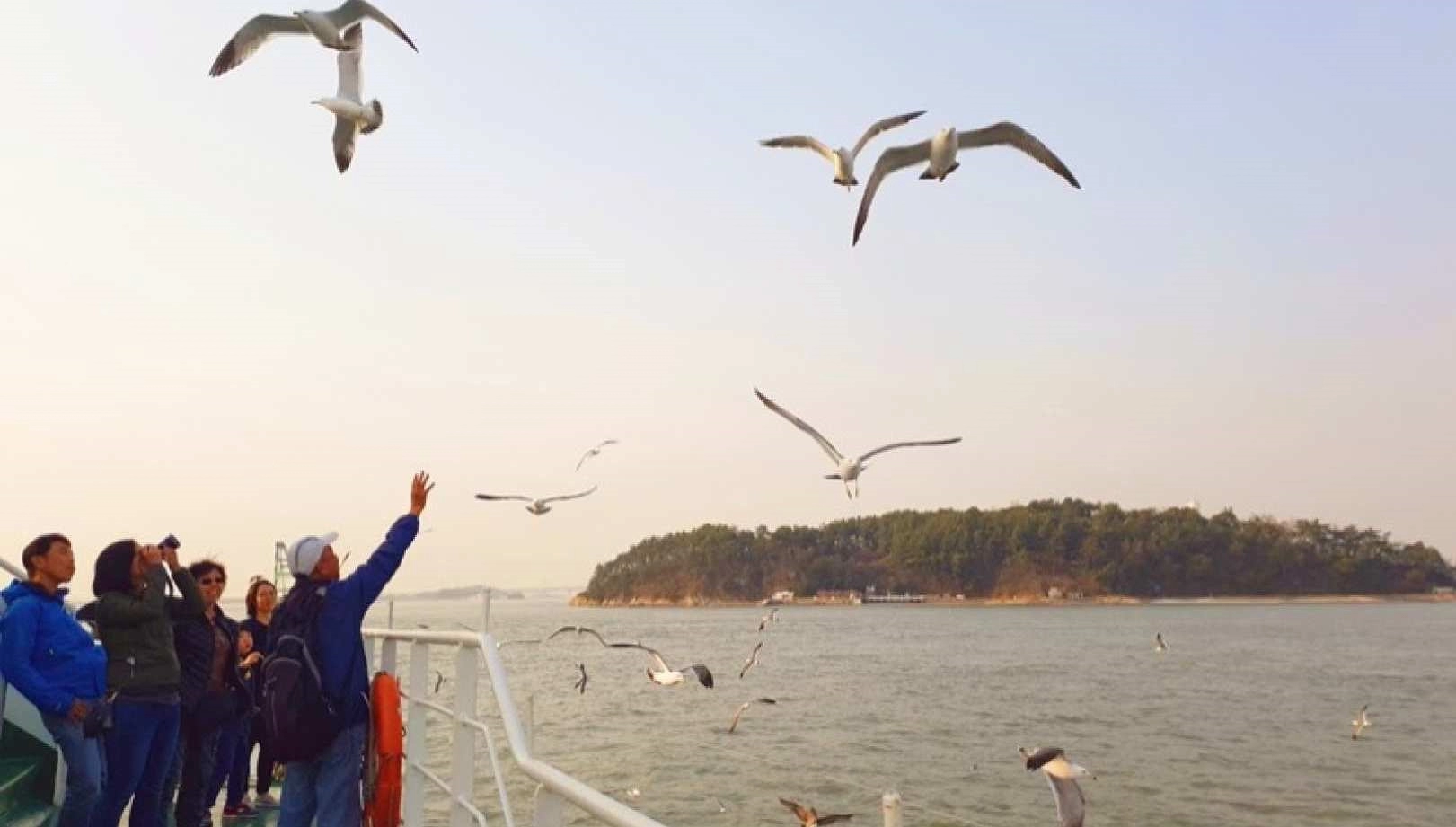 Đặt Tour 1 Ngày Incheon A - Khu Nghỉ Dưỡng Giải Trí Tổng Hợp INSPIRE + Xe  Trượt Dốc Skyline Luge + Xe Đạp Đường Sắt + Cho Hải Âu Ăn +