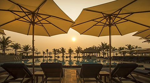 Hồ bơi chính với hàng dừa rợp bóng