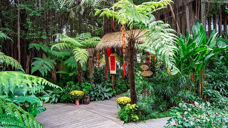 Du Xuân cùng An Lâm Retreats Saigon