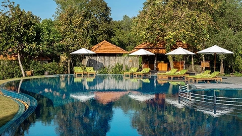 Hồ bơi ngoài trời