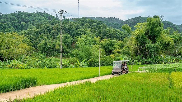 Xe điện di chuyển