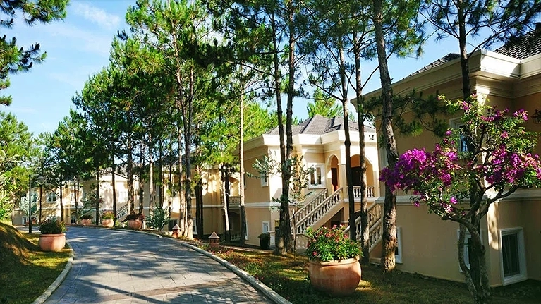 Hạng phòng Mimosa Deluxe