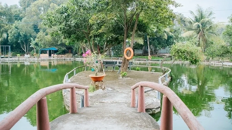 Câu cá giải trí