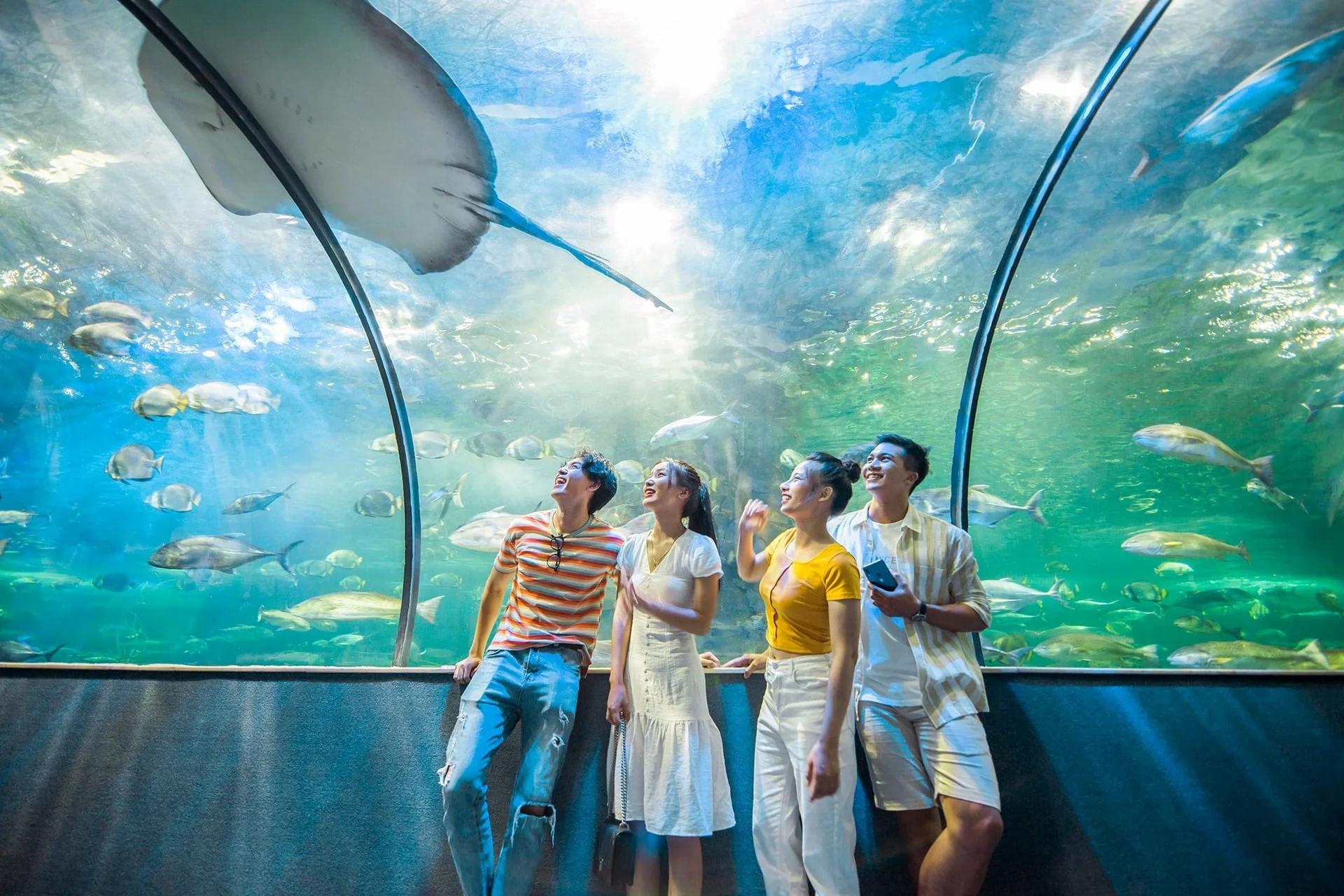 Vé Vào Cửa VinKE & Thủy Cung Vinpearl Times City Hà Nội