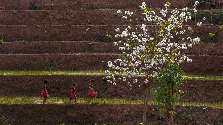 Khu nghỉ dưỡng nép mình bên những thửa ruộng 