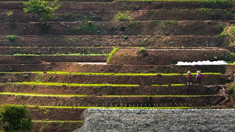 Khu nghỉ dưỡng nép mình bên những thửa ruộng