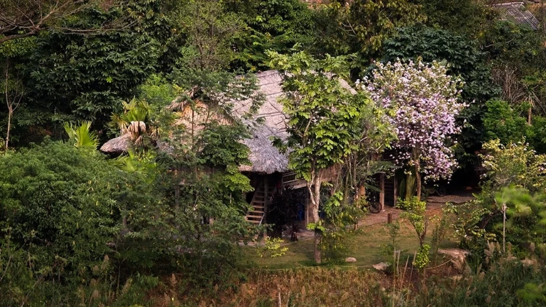 Các villa dọc theo sườn núi, ẩn dưới những tán lá