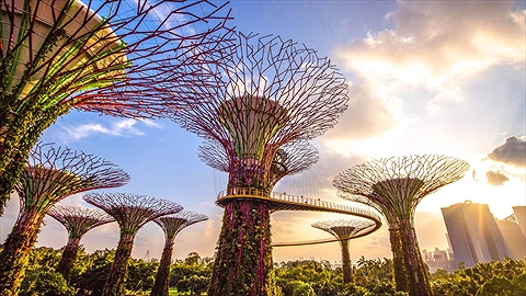 Vé Gardens by the Bay Singapore
