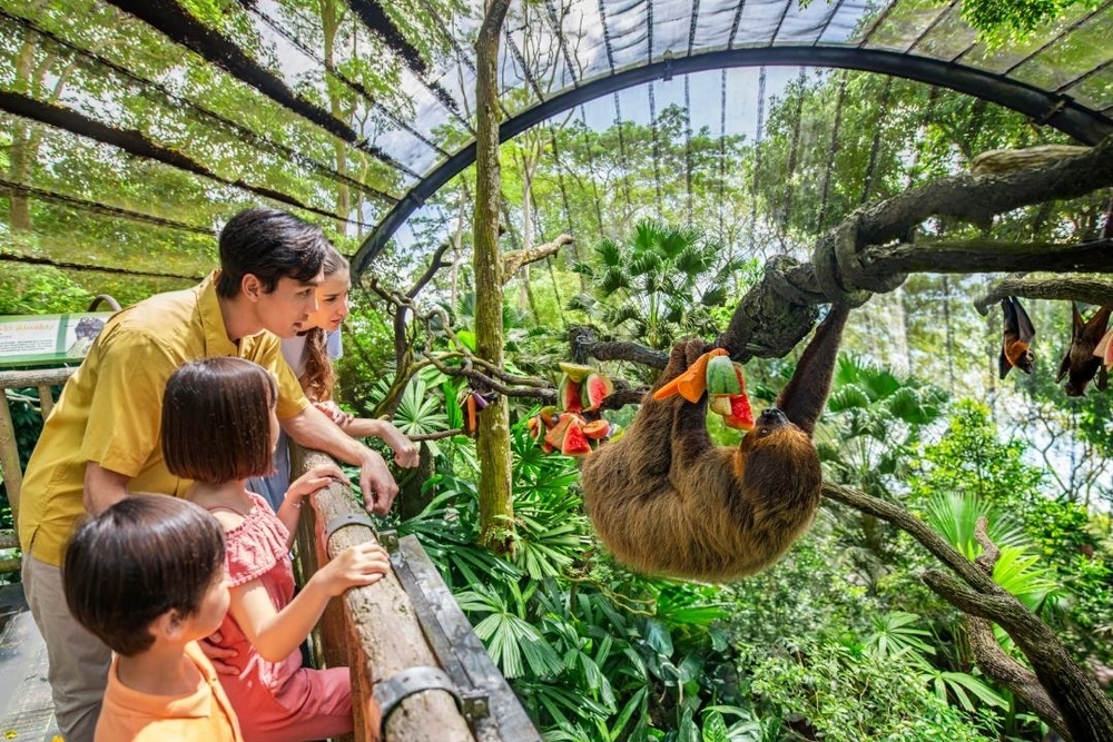 Vé Tham Quan Vườn Thú Singapore