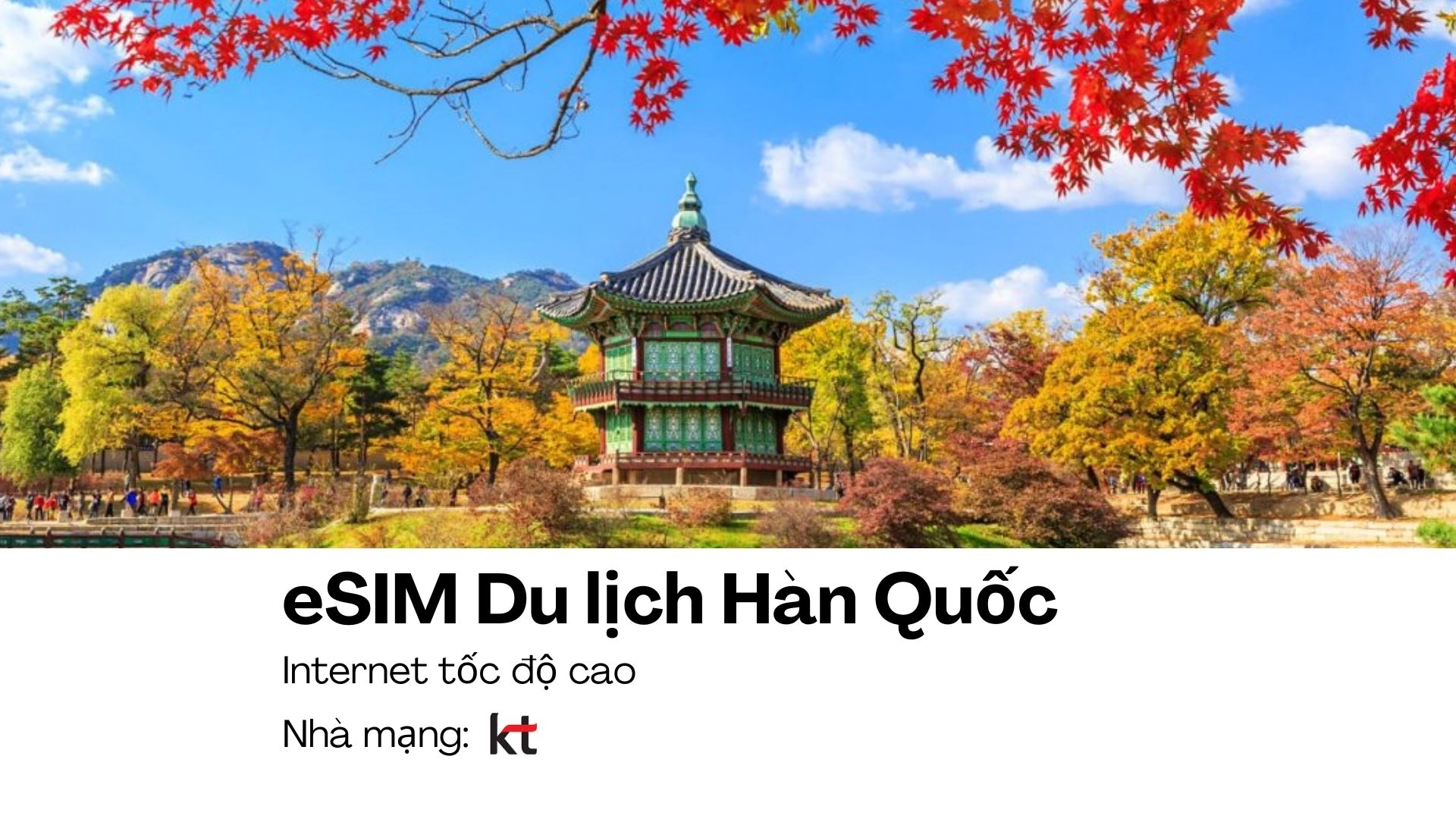 eSIM Du lịch Hàn Quốc (Nhà mạng KT)