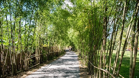 Quang cảnh chung của khu nghỉ