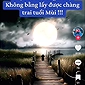 ivivu