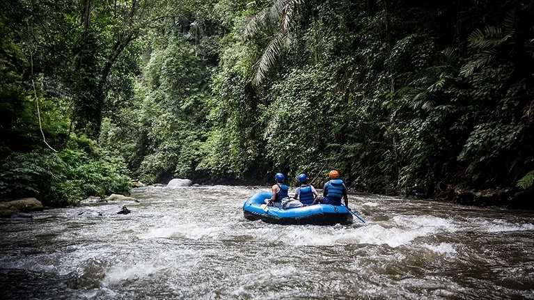 Chèo thuyền vượt suối giữa rừng nguyên sinh