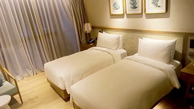 Deluxe Twin Room