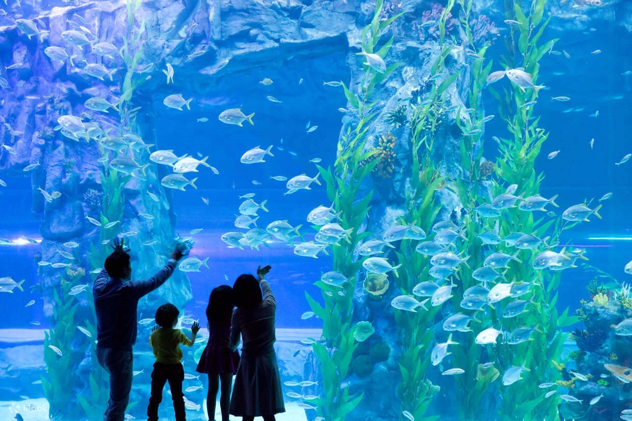 Vé Thủy Cung Lotte World Hà Nội