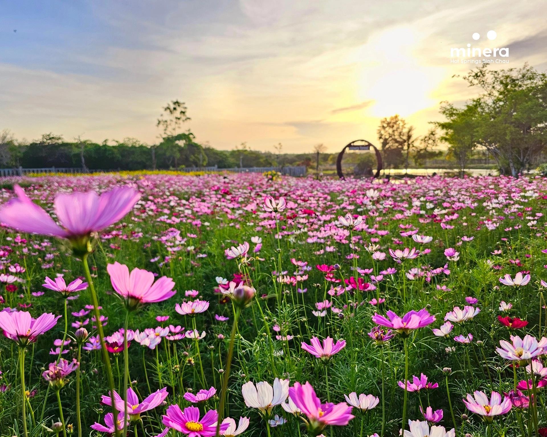 Vé Suối Khoáng Nóng Minera Bình Châu