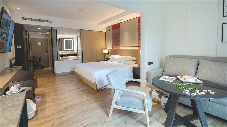 1 King Bed Pet Friendly Deluxe