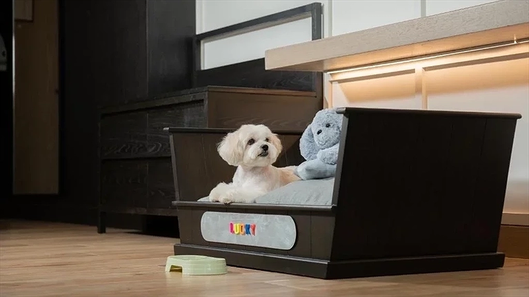 1 King Bed Pet Friendly Deluxe