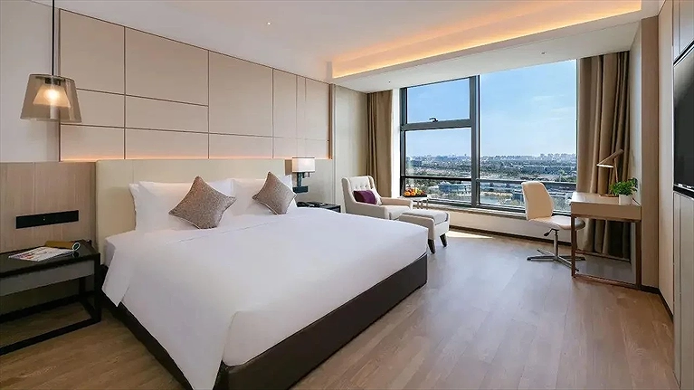 Standard City - Queen