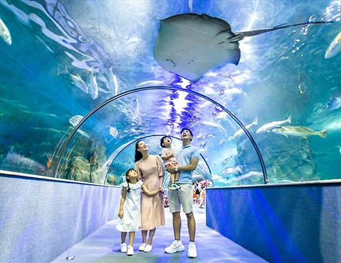 Vé Vào Cửa VinKE & Thủy Cung Vinpearl Times City Hà Nội