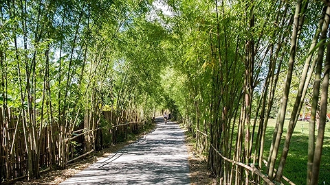 Quang cảnh chung của khu nghỉ