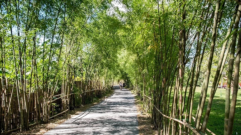 Quang cảnh chung của khu nghỉ