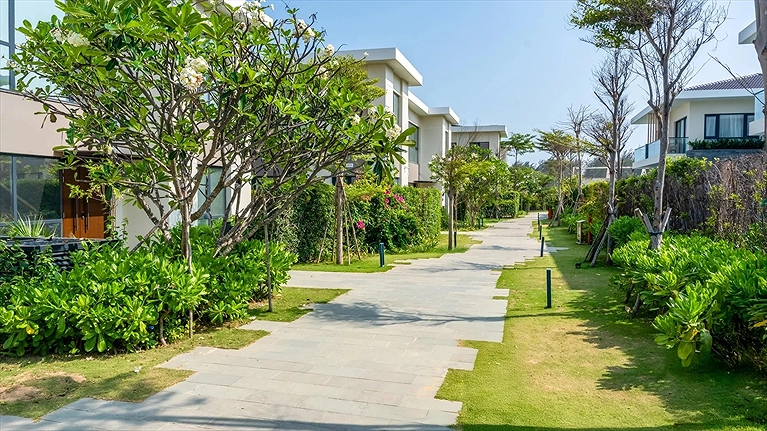 Cảnh quang xung quanh