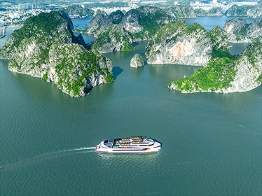 Du thuyền Dolphin Hạ Long - Day Cruise