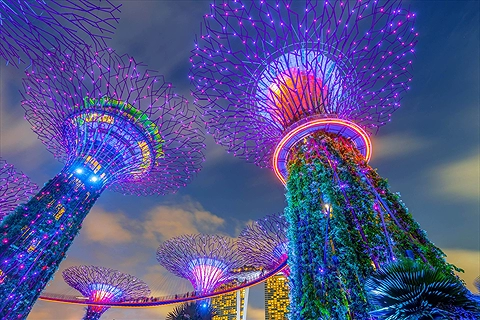 Vé Gardens by the Bay Singapore