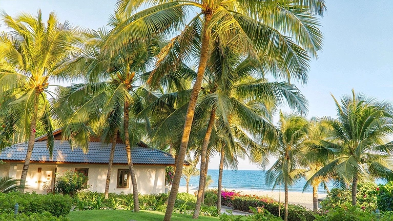 Bungalow Beach Front