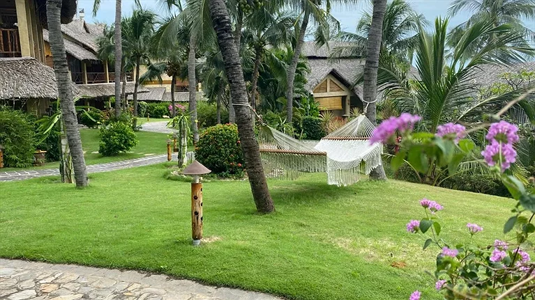Khu vực sân vườn