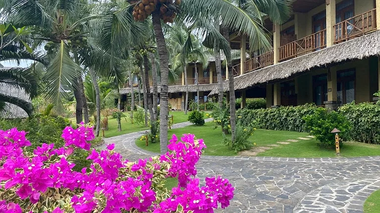 Khu vực sân vườn