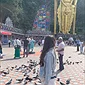 ảnh đánh giá tour