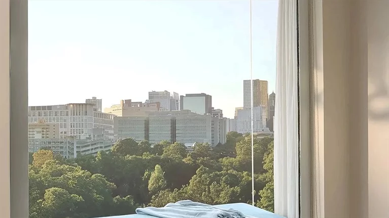 Deluxe Twin Park view