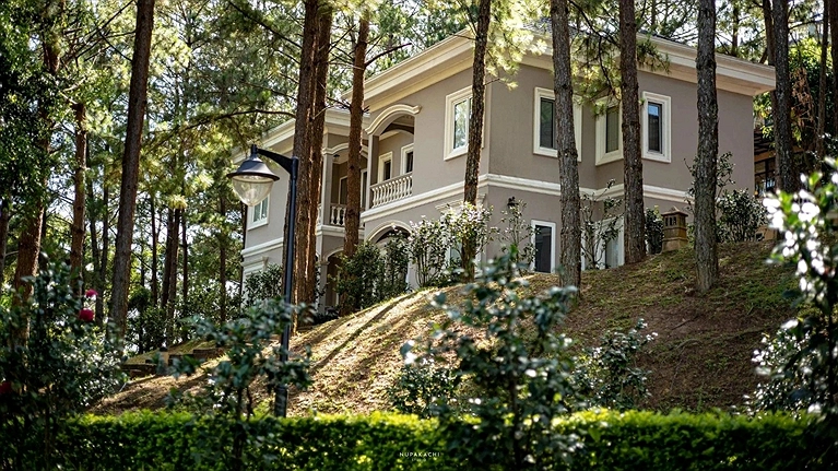 Camellia Junior Suite