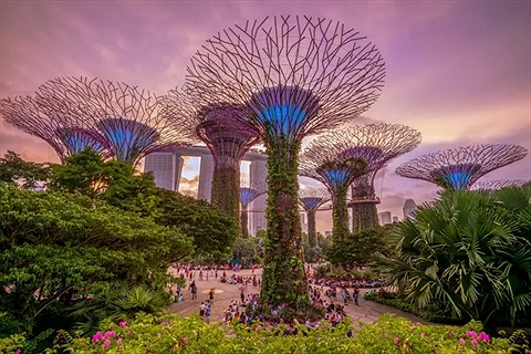 Vé Gardens by the Bay Singapore