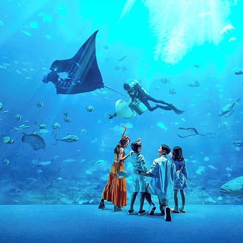 Vé Thủy Cung Singapore Oceanarium