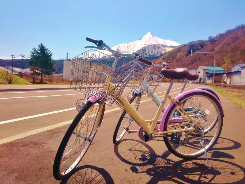 Thể thao và hoạt động