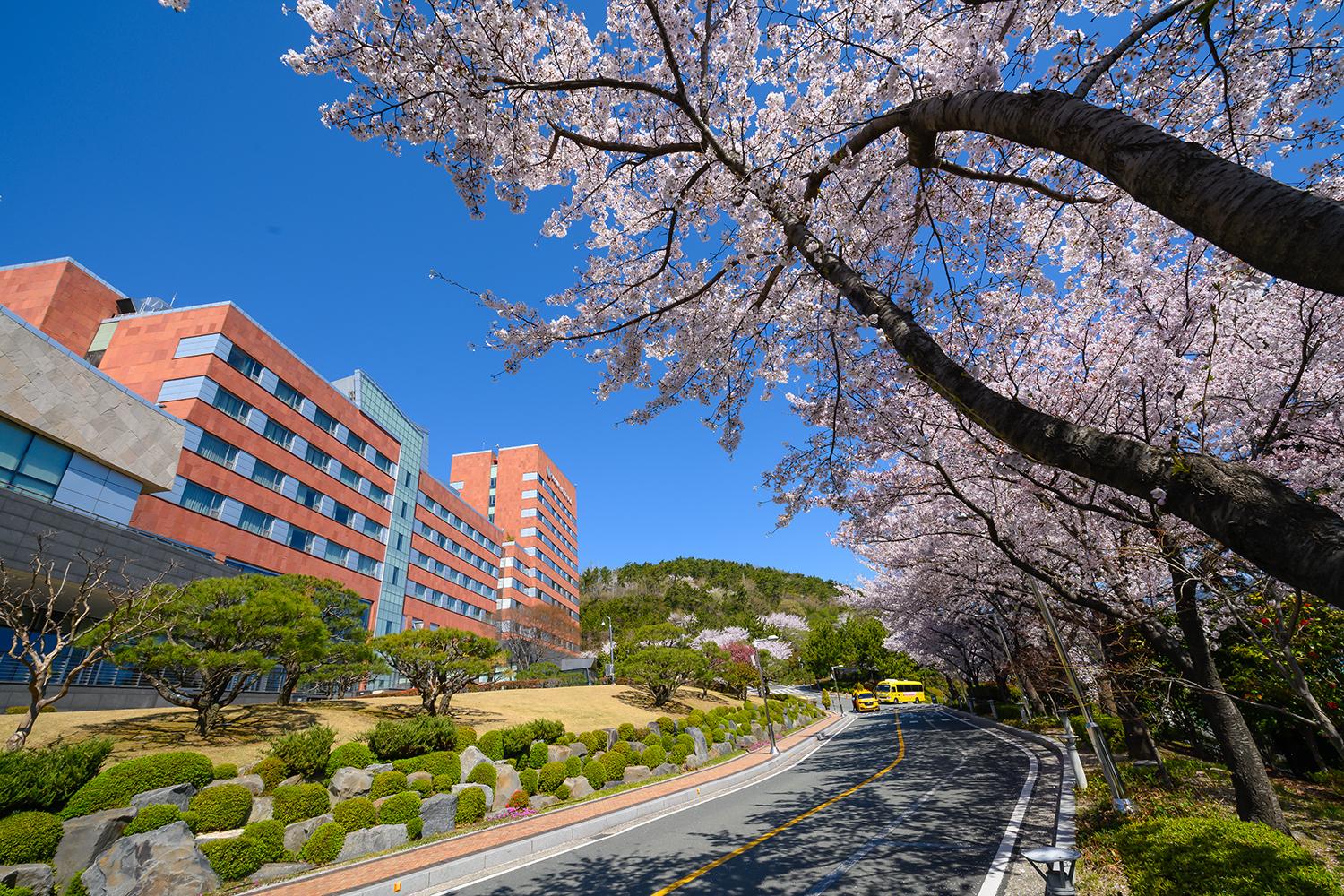 Ngoại cảnh khách sạn