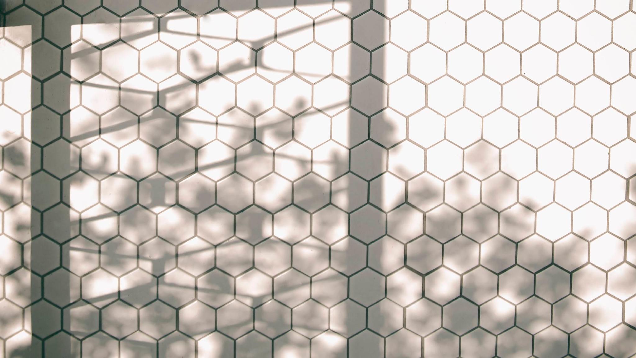 Khu vực công cộng