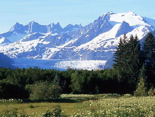 Nơi tham quan gần đây