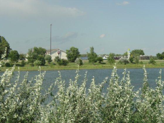 Khu vực xung quanh