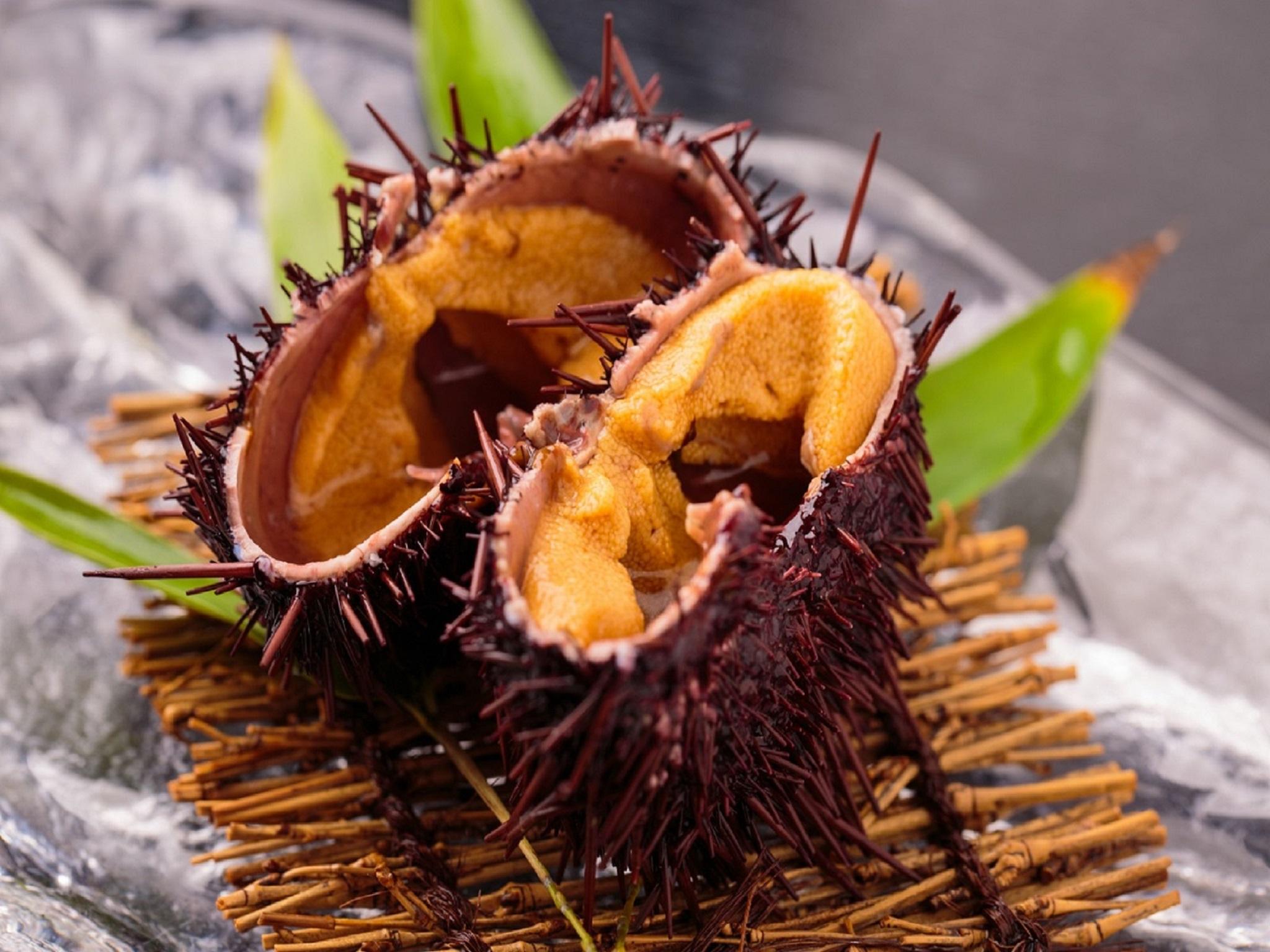 Đồ ăn và thức uống