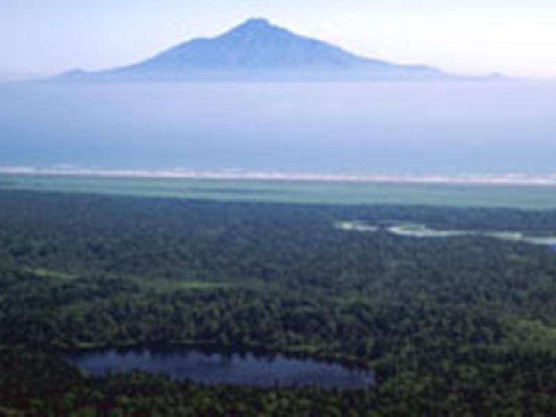 Khu vực xung quanh