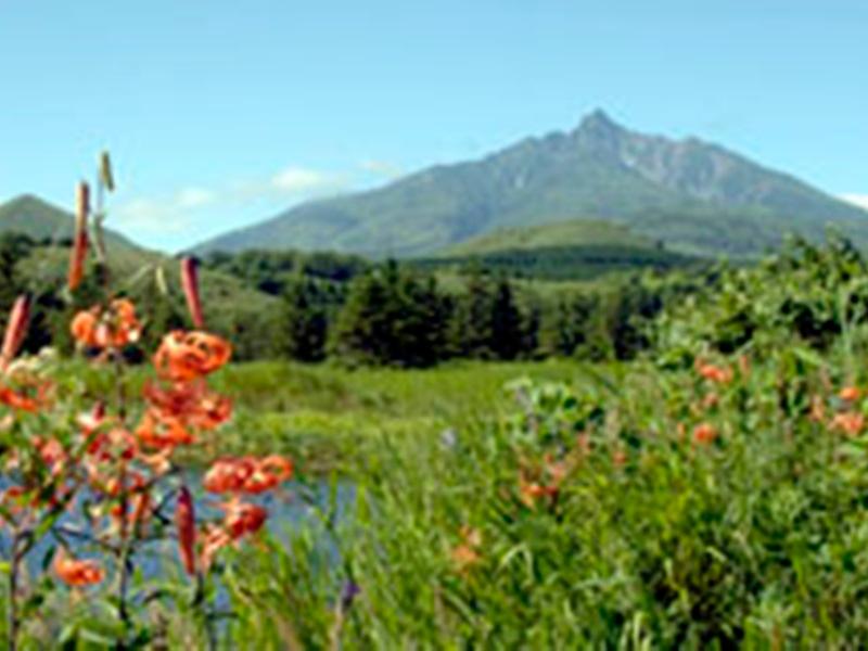 Khu vực xung quanh