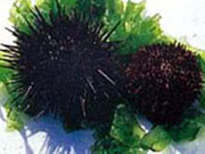 Đồ ăn và thức uống