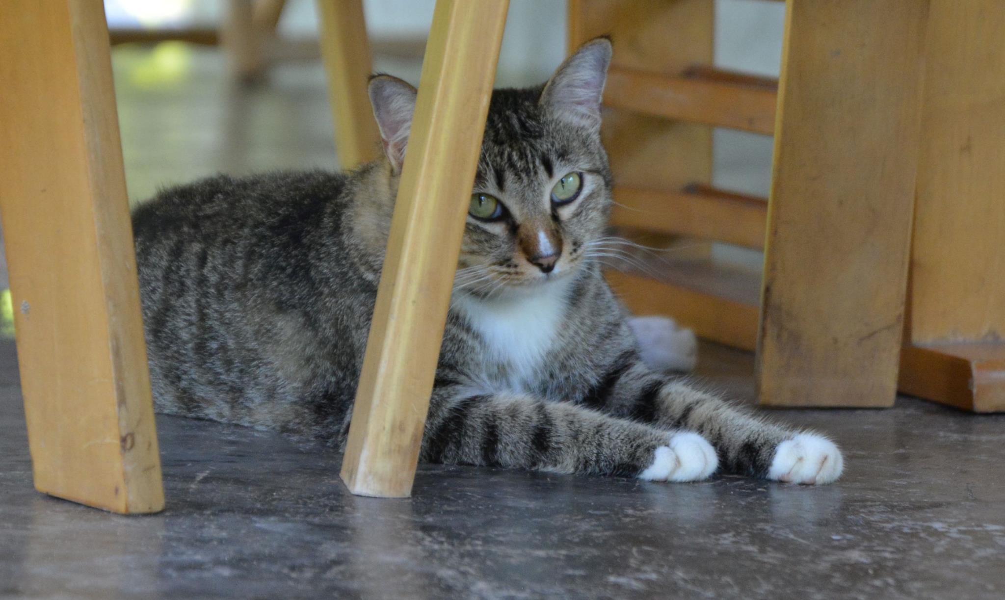 Nội thất khách sạn