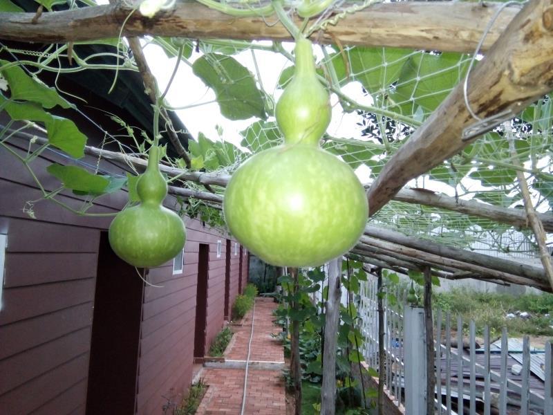 Nội thất khách sạn